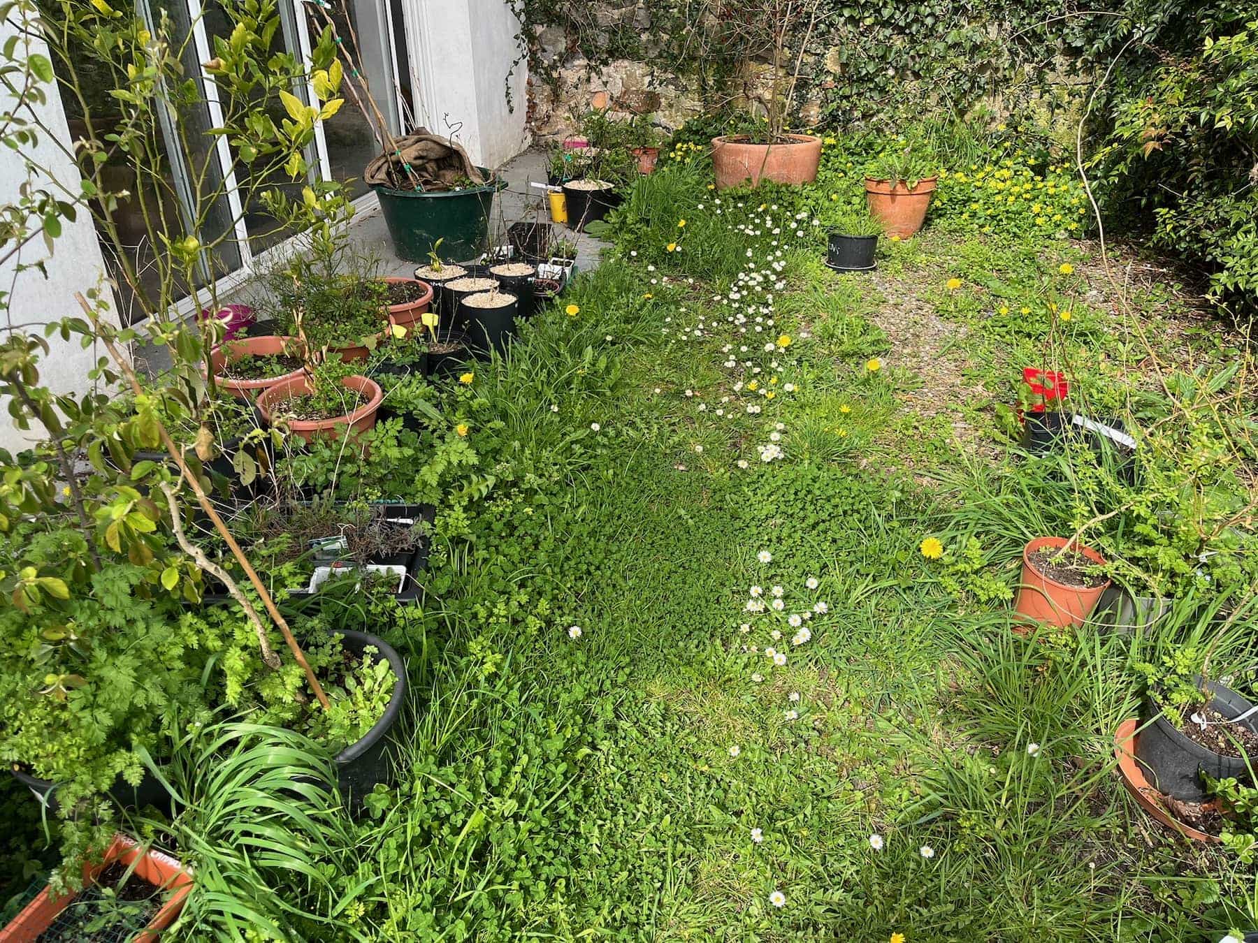 Un tour au jardin, en mars
